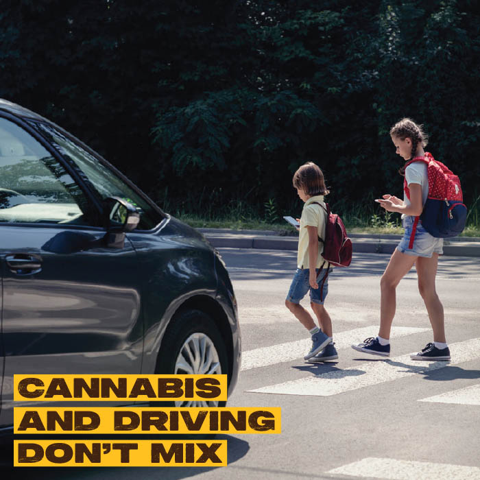 Cannabis and Driving Fact Sheet Preview