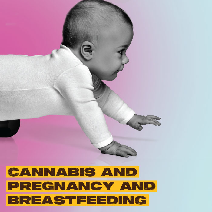 Pregancy & Breast Feeding Fact Sheet Preview