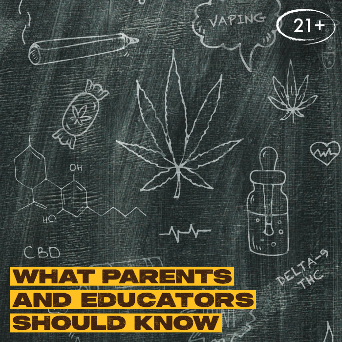 Parents/Caregivers and Educators Fact Sheet Preview