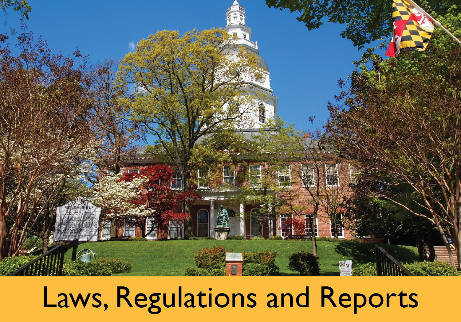 Laws, Regulations and Reports